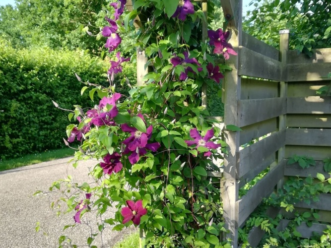 Outside
