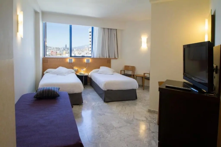 Basic Twin room