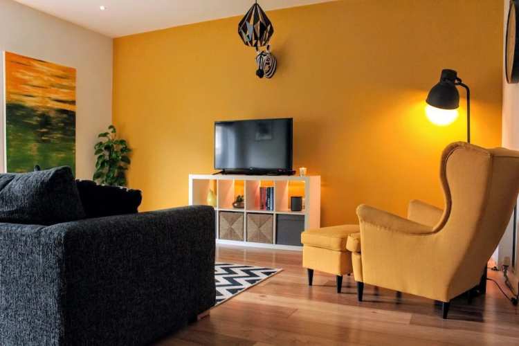 Contemporary Apartment With Garden