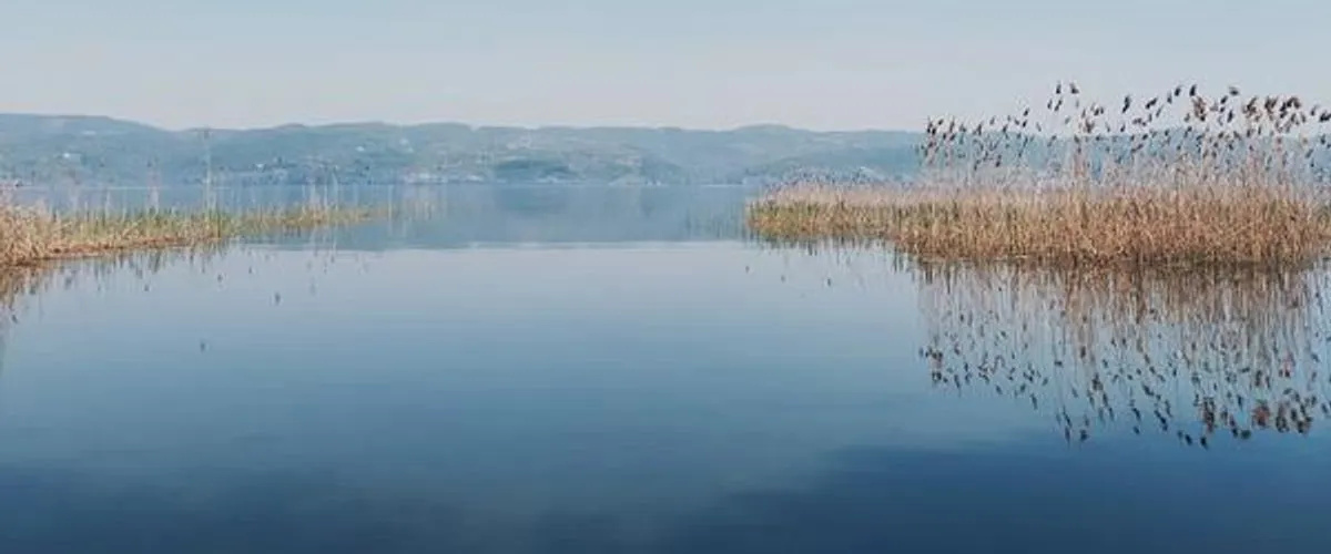 Alcedo Bungalov