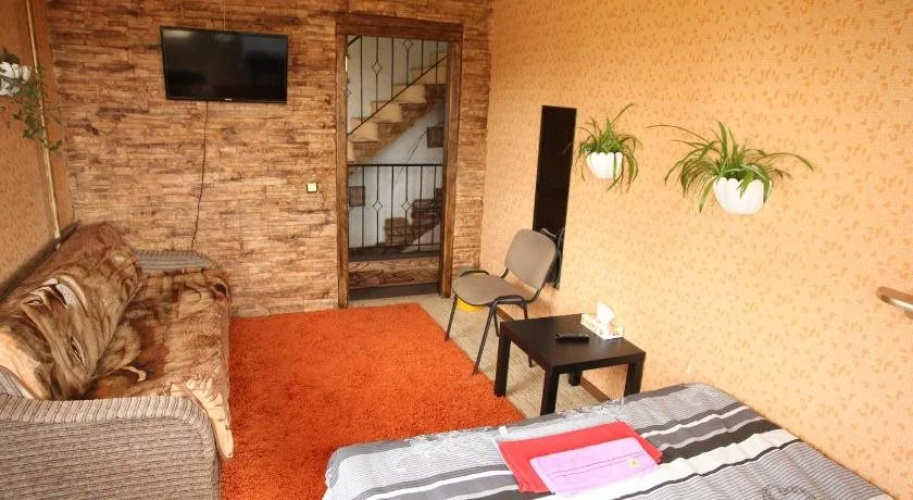 Guesthouse U Vasilya