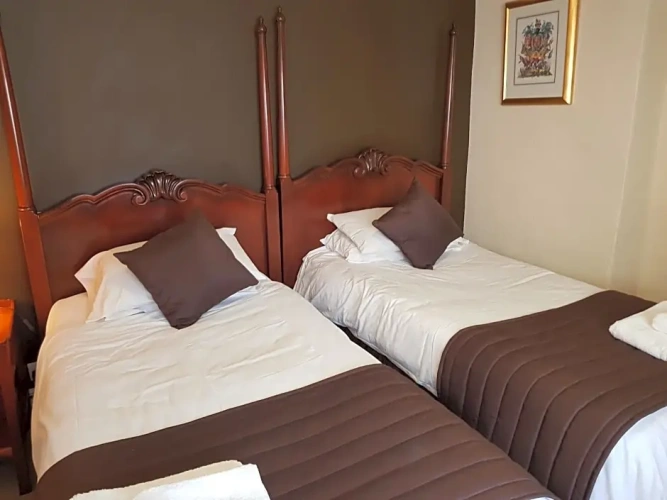 Standard Twin room with view