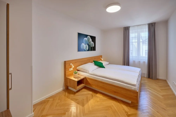 1 Bedroom Deluxe Apartment with balcony