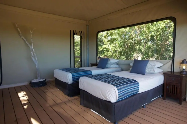 Tent with bay view