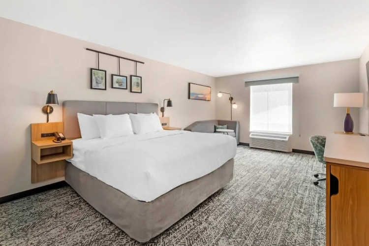 Standard Double room