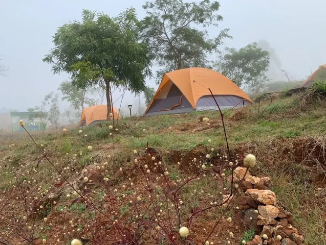 Wilderness Jungle Camp