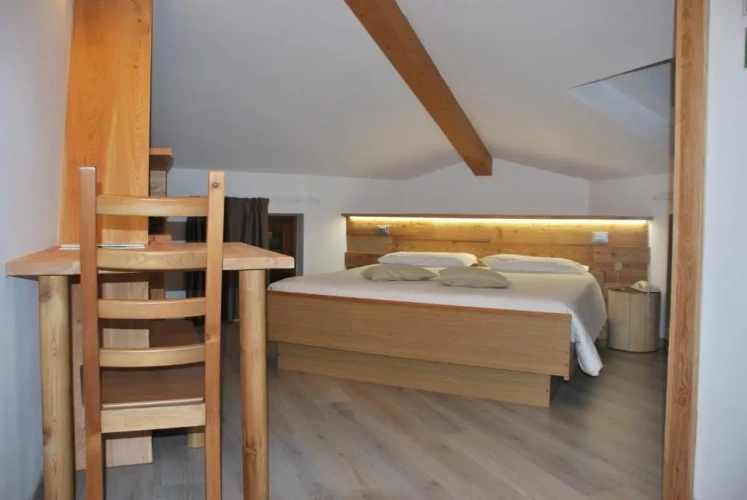 Standard Double room with mountain view