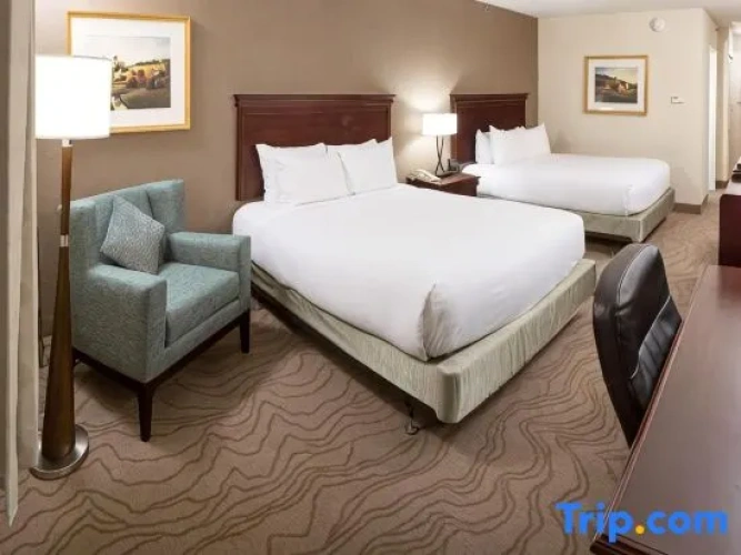 2 Bedrooms Quadruple Suite