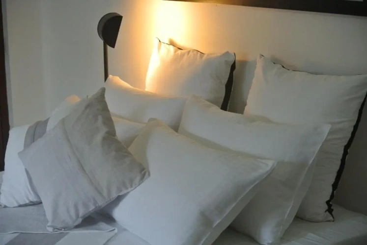 Standard Double room with garden view