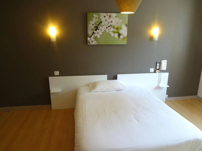 Brit Hôtel du Parc Niort Centre - Parking gratuit