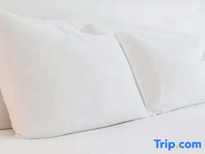 1 Bedroom Double Suite