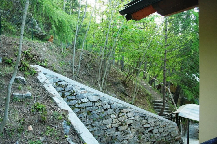 La Ciamusira