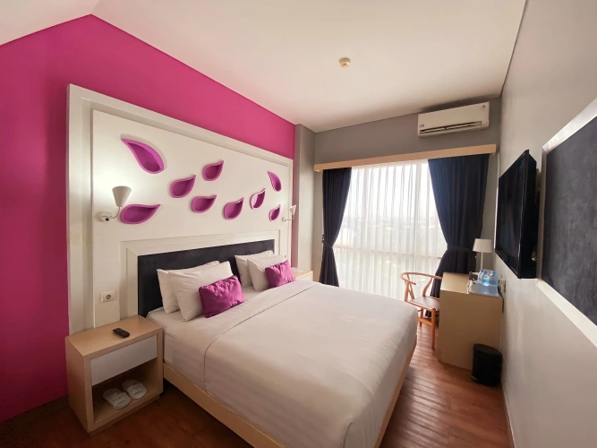 Single Suite