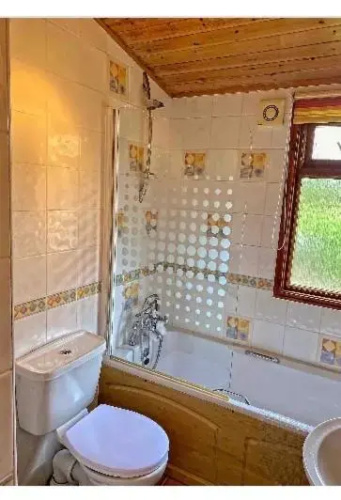 Dot's Place 1