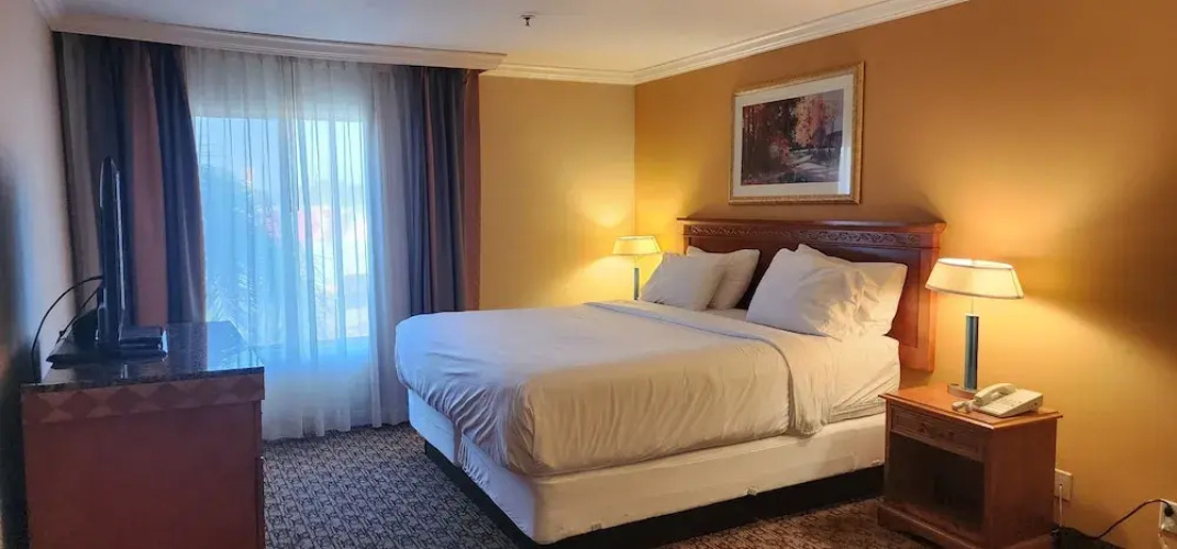 Hotel Xola
