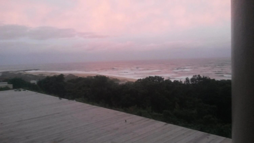 The View