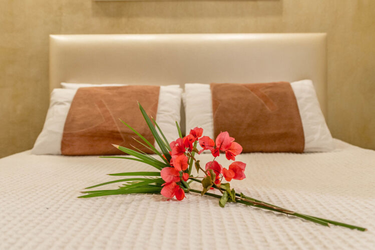 Super Rockies  Over view