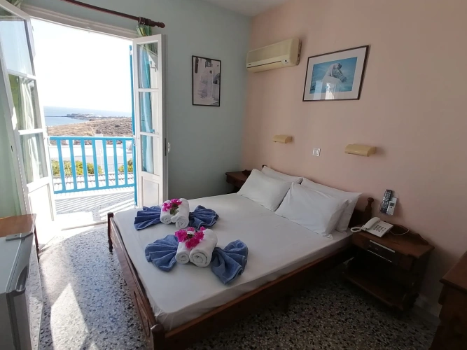Standard Double room with garden view