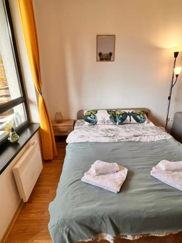 Cosy studios with mountain view near Bansko