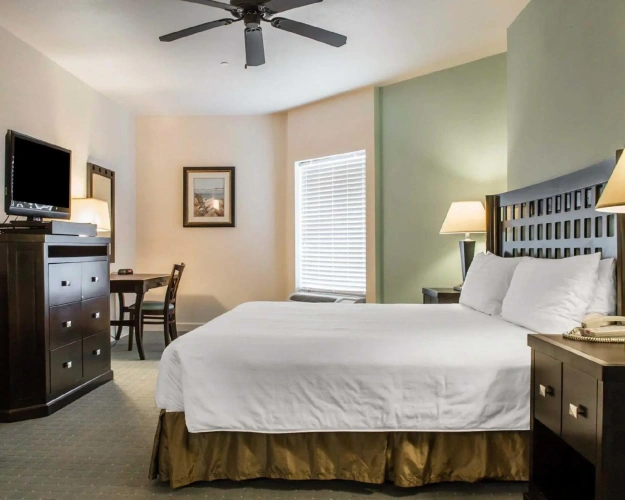 Quadruple Suite