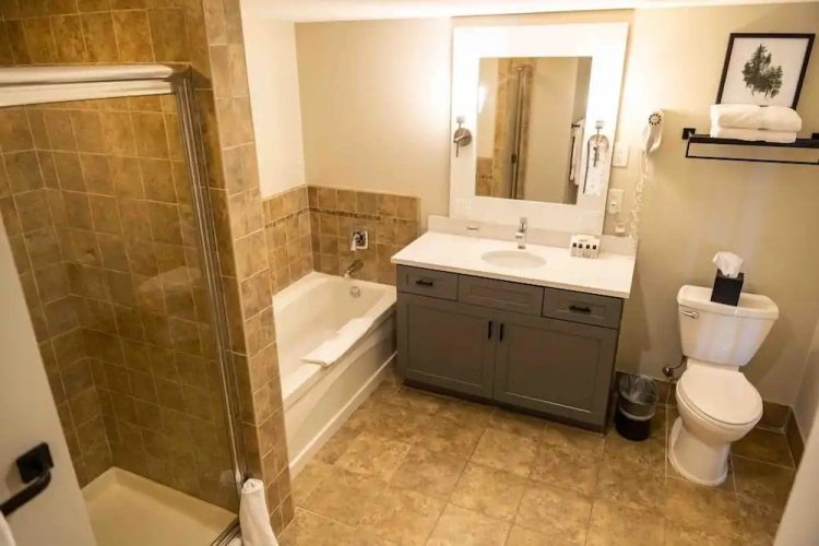 1 Bedroom Premium Suite