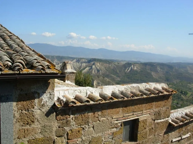 1 Bedroom Apartment with view