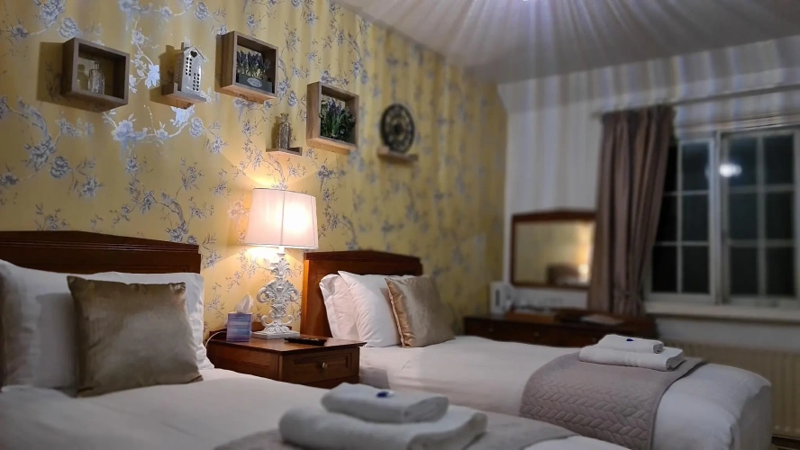 Standard Twin room