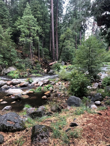 Sierra Inn on the River