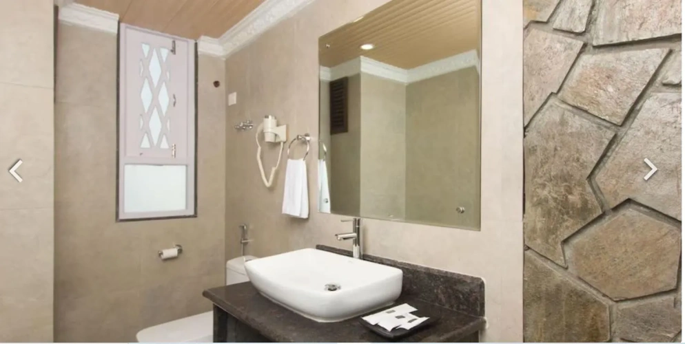 Premium Twin room