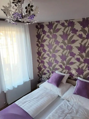 Silver Lodge Apartment 1 Eger