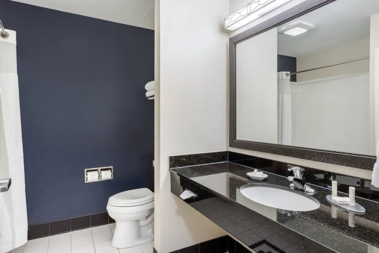 1 Bedroom Executive Suite