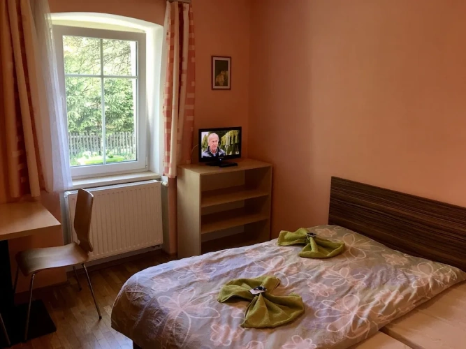 Economy Double Basement room