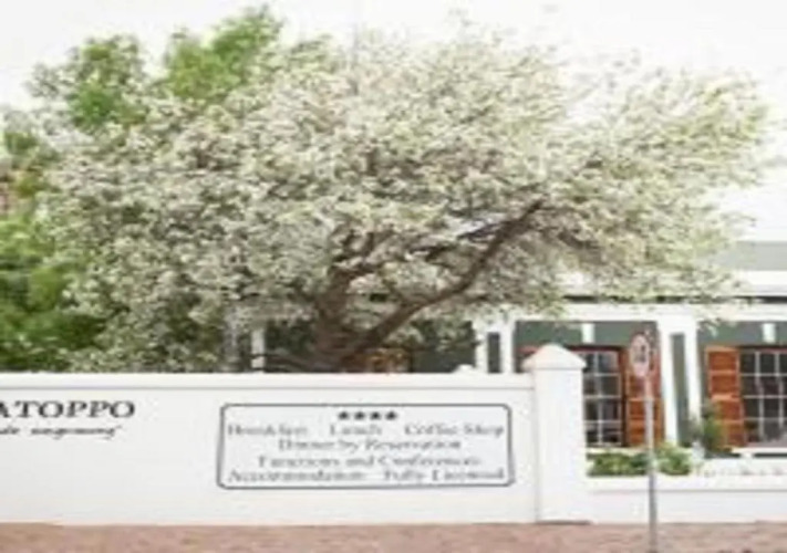 Matoppo InnOver view