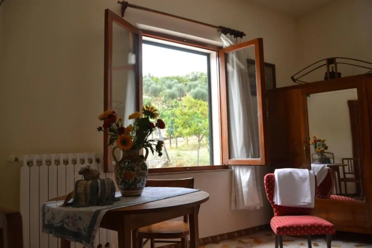Standard Double room with view