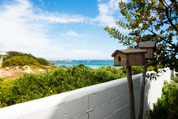 Standard Double room with partial sea view