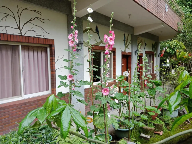 Yi Jia Yuan Homestay