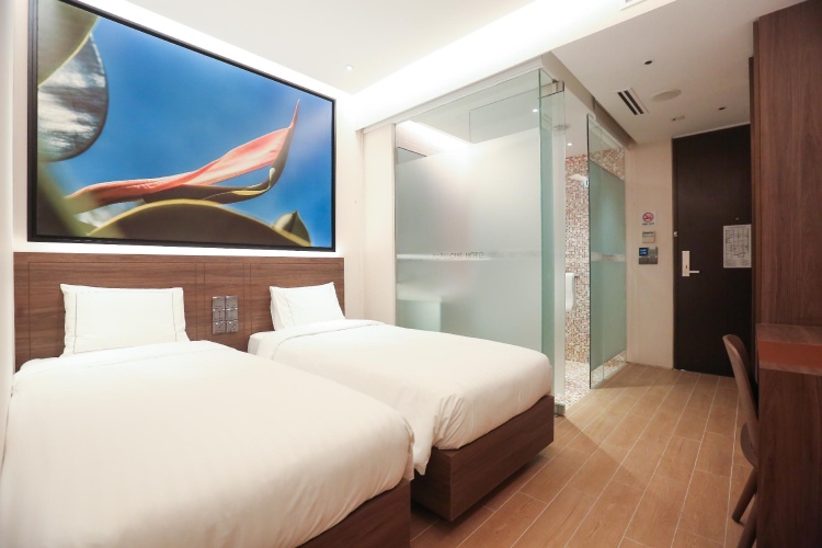 Deluxe Twin room