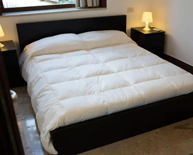 B&B Kore