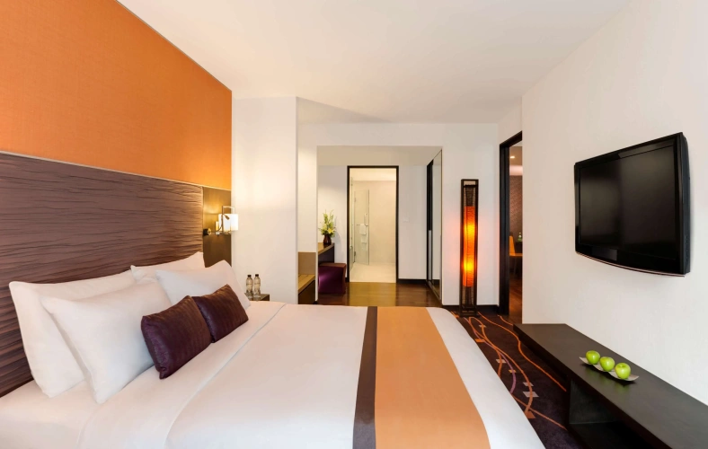 1 Bedroom Suite