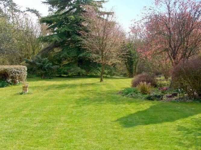The Cottage