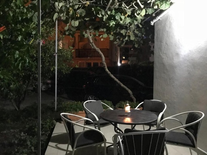 Apartment with garden view