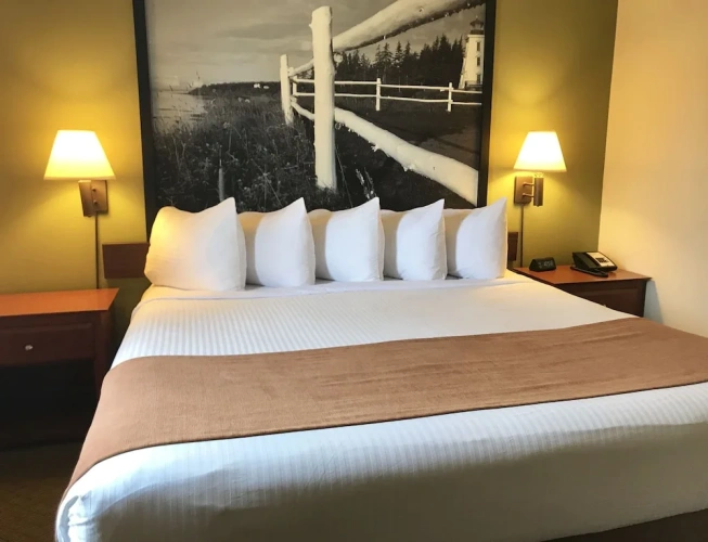 1 Bedroom Double Junior Suite