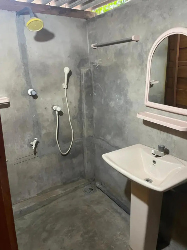 Lemon Tree Hostel