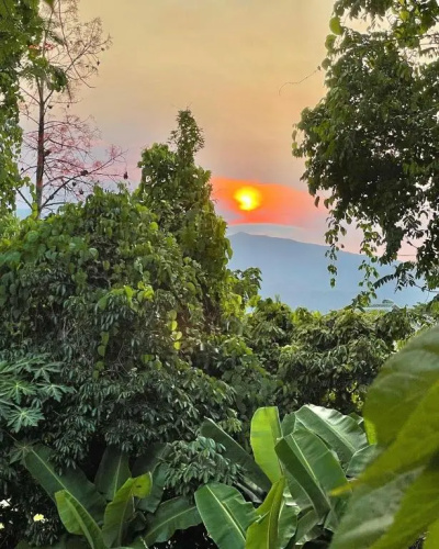 Babinda Quarters