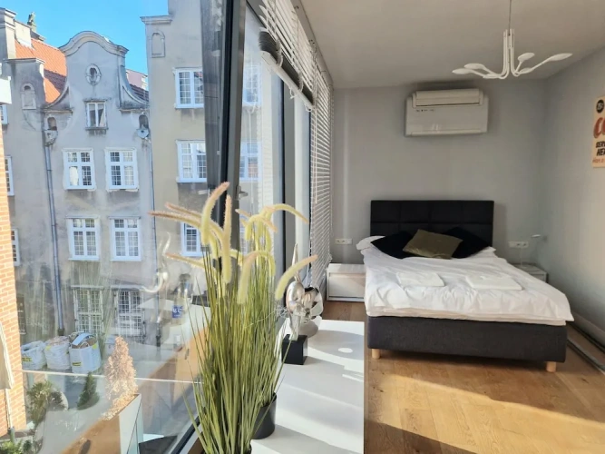 1 Bedroom Deluxe Apartment with city view