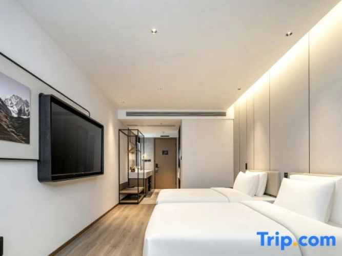 Twin Suite