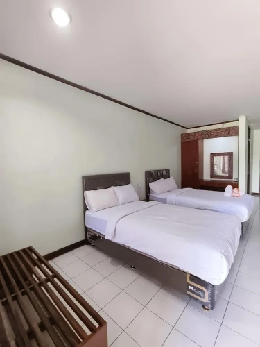 Deluxe Twin room with lake view