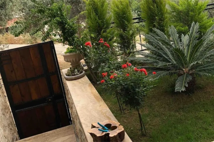 3 Bedrooms Apartment