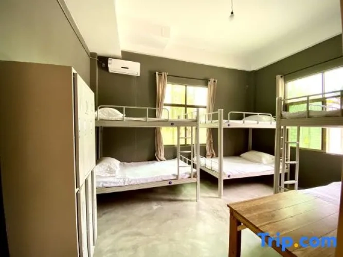 Bed in Dorm (female dorm)