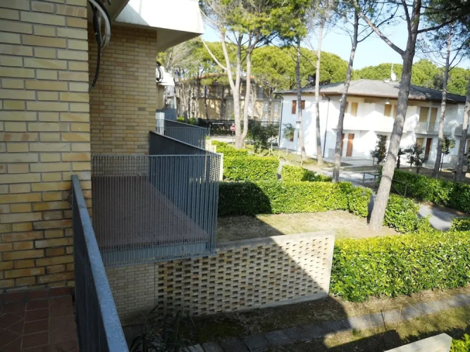 Ville Schiera
